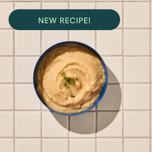 Beef, Parsnip & Bone Marrow Purée