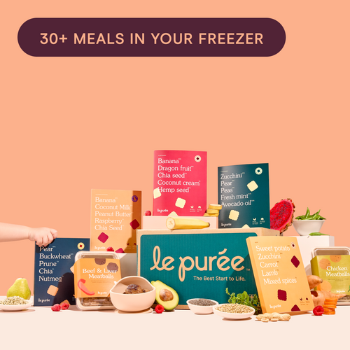 6 Month+ Bundle (Puree & BLW)