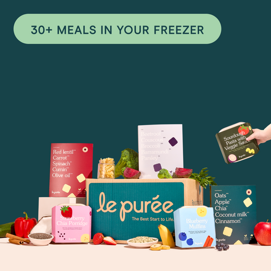 8 Month+ Bundle (Puree & BLW)