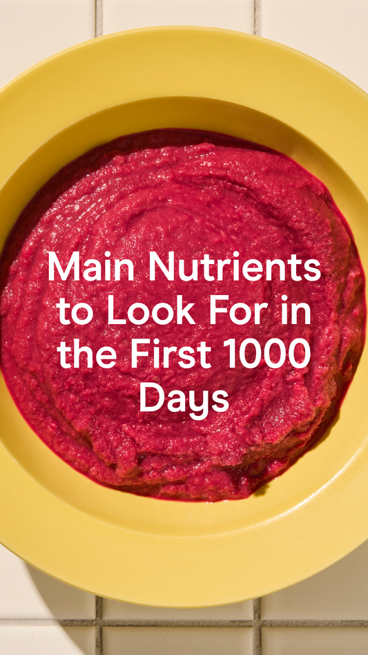 Main Nutrients to look for in the first 1000 days
