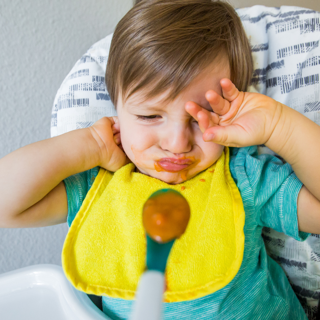 Picky Eaters and how to manage mealtime.
