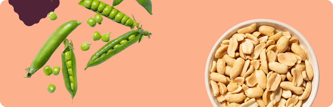 Your 11 Month Old & Allergens: How To Maintain Consistency