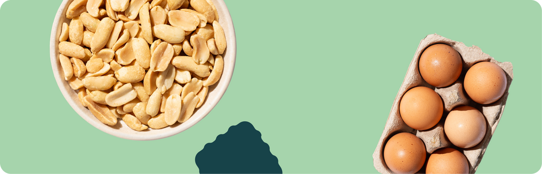 Everyday Allergens: How to Keep Peanut, Egg & Dairy in Your Toddler’s Diet