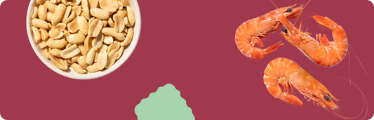 Introducing Allergens to Babies: Why Ongoing Exposure Matters