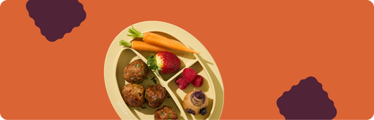 Texture Progression for Toddlers: How to Safely Move Beyond Soft Foods