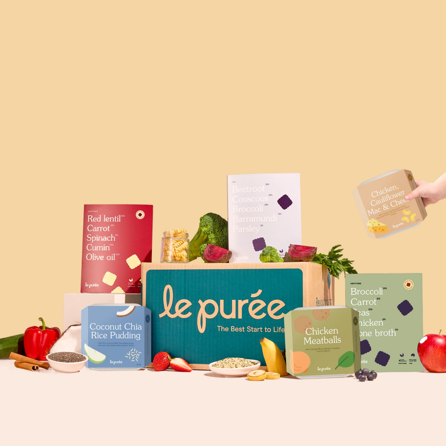 8 Month+ Bundle (Puree & BLW)