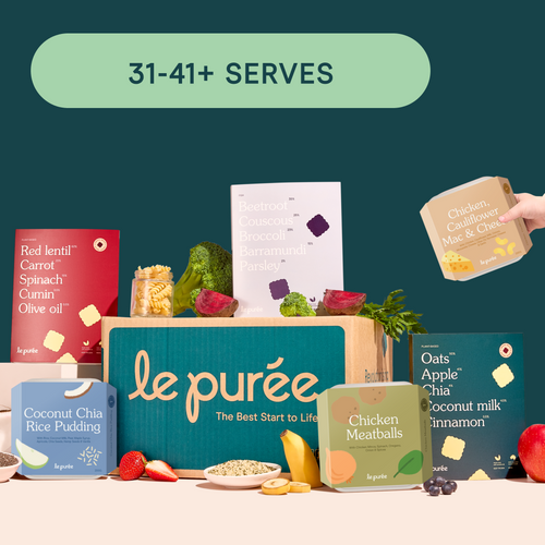 8 Month+ Bundle (Puree & BLW)