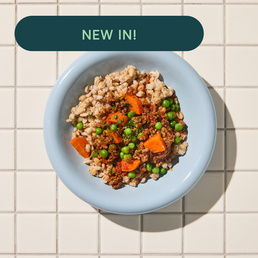 Lamb & Barley Stew