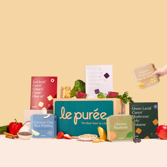 8 Month+ Bundle (Puree & BLW)