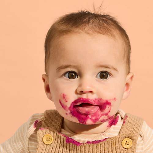 6 Month+ Bundle (Puree & BLW)